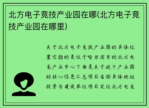 北方电子竞技产业园在哪(北方电子竞技产业园在哪里)